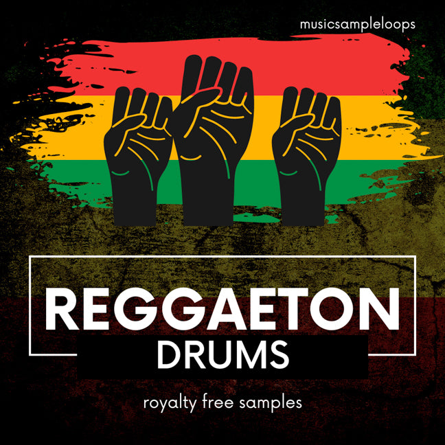 Reggaeton 1000 Drum Loops Collection